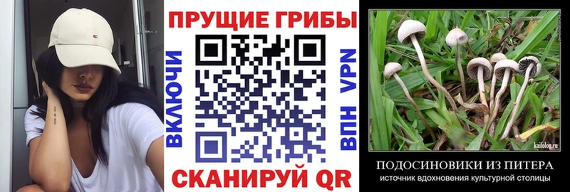 Галлюциногенные грибы ЛСД магазин Белинский